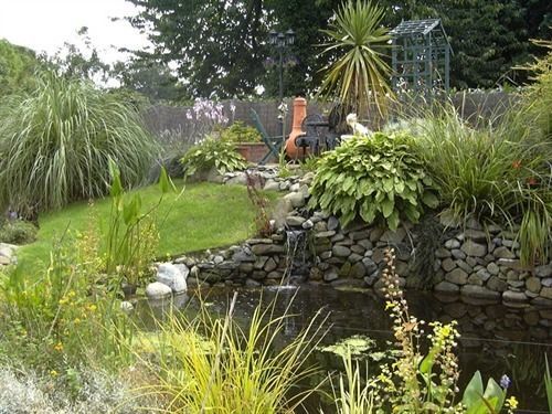 Bed & Breakfast The Grove Llandudno